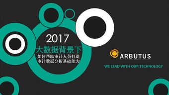 大數(shù)據(jù)環(huán)境下審計(jì)數(shù)據(jù)分析能力的構(gòu)建路徑——基于互聯(lián)網(wǎng)數(shù)據(jù)服務(wù)的視角